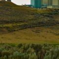 What Special Programs and Services Does Xcel Energy Offer for New Natural Gas Customers in Denver, CO?